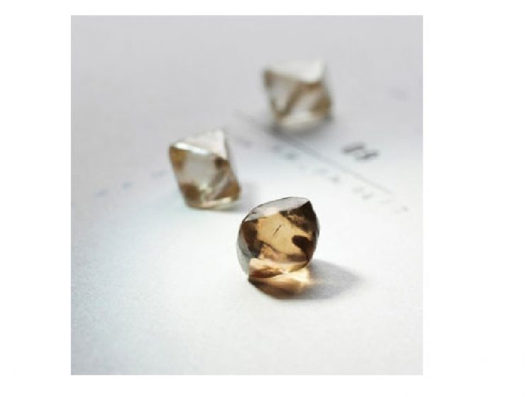 Indian jewellery magazine