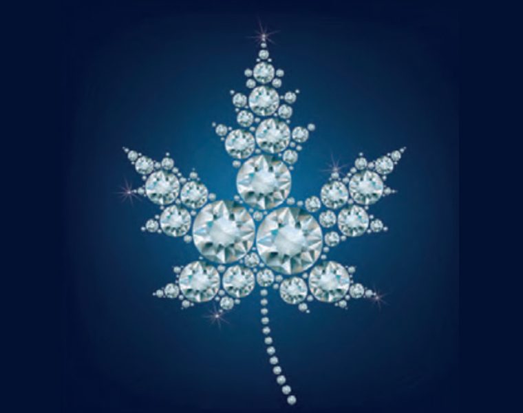 Indian jewellery magazine